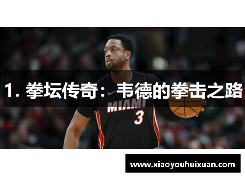 1. 拳坛传奇：韦德的拳击之路